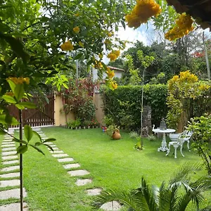 Casa Tortuga , Porto Seguro Brasil